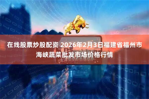 在线股票炒股配资 2026年2月3日福建省福州市海峡蔬菜批发市场价格行情